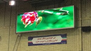 اسکوربرد ورزشگاه برای نمایش امتیازات ، زمان مسایقه و تصاویر مسابقه مانند صحنه های حساس ولوگو های تیم های مختلف استفاده می شود. اسکوربرد ورزشگاهی امروزه در ورزشگاه های روز دنیا بصورت تلویزیون های LED استفاده می شود. تراکم پیکسلی این نمایشر های LED بر اساس فاصله جایگاه نمایشگر تا تماشاگر متفاوت است. در ورزشگاه های بزرگ نقش اسکوربورد ها در کیفیت استفاده تماشاگران نقش بسیار مهمی دارد. زیرا بسیاری از تصاویر مسابقه برای تمامی تماشاگران کاملا در دسترس نیست. اسکوربرد های LEDاین قابلیت را به تماشگران می دهد تا از تمامی اتفاقات درون زمین مطلع شوند و لذت بیشتری از مسابقات خواهند برد. نداشتن اسکوربرد در ورزشگاه های بزرگ امروزه نقص بزرگی محسوب می شود و اهمیت بالایی در رتبه بندی ورزشگاه ها دارد.