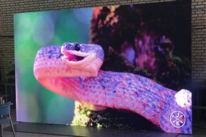 نمایشگر رنتال در سال 1395 به سفارش موسسه تبلیغاتی نخبگان یزد با ابعاد 10 متر مربع با تراکم پیکسلی P4 به همراه تجهیزات نصب و راه اندازی برای نمایش پیام های تبلیغاتی و پیام های شهرداری یزد توسط شرکت نواندیشان هوشمند سپاهان ساخته و راه اندازی شده است.